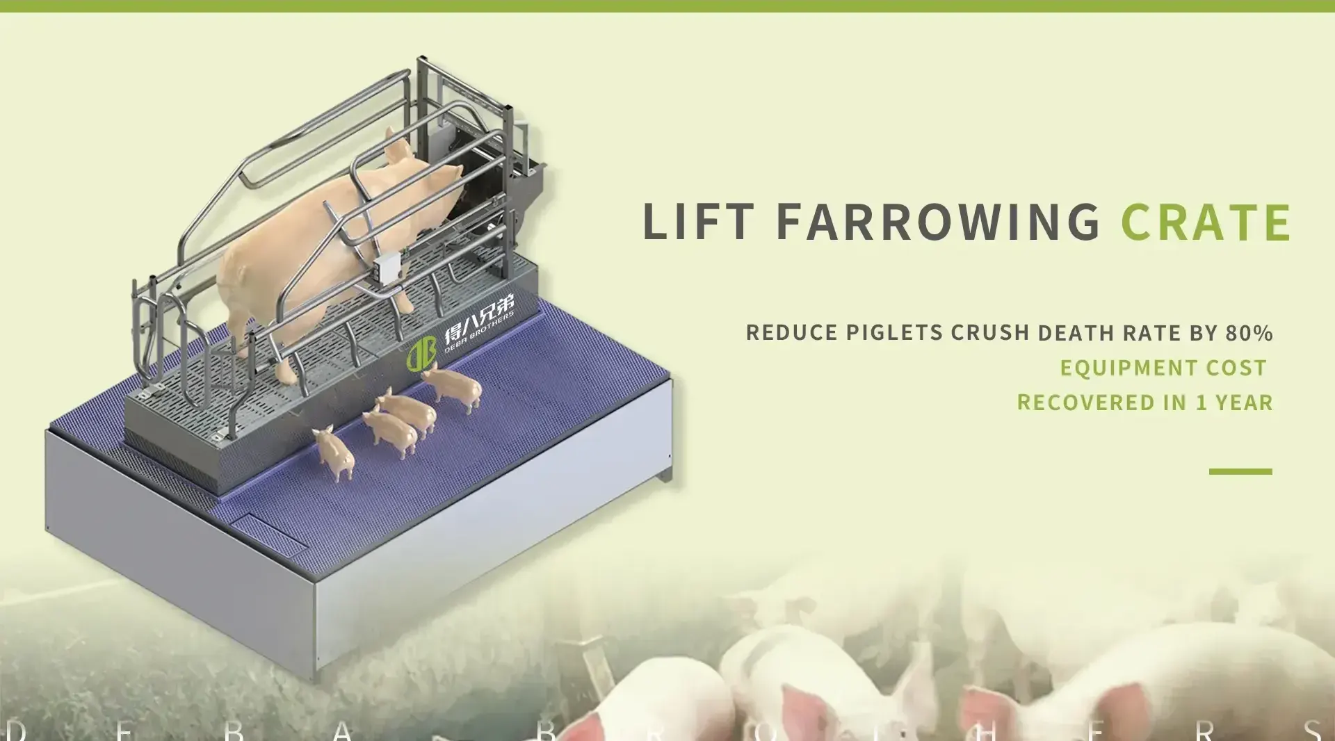 Çin Lift Farrowing Crate Factory