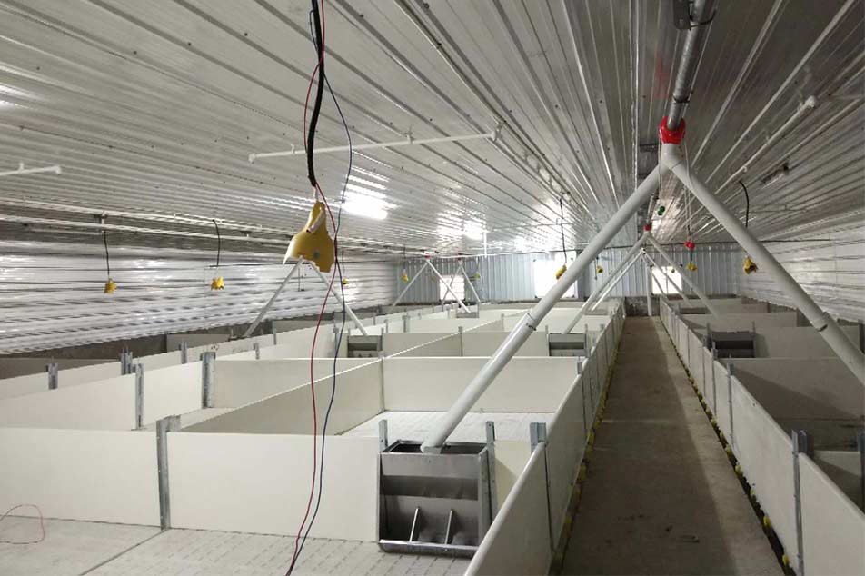 Farrowing Crates üçün Yüksək Keyfiyyətli Donuz PVC Divar Paneli Dizaynları - Debabrothers