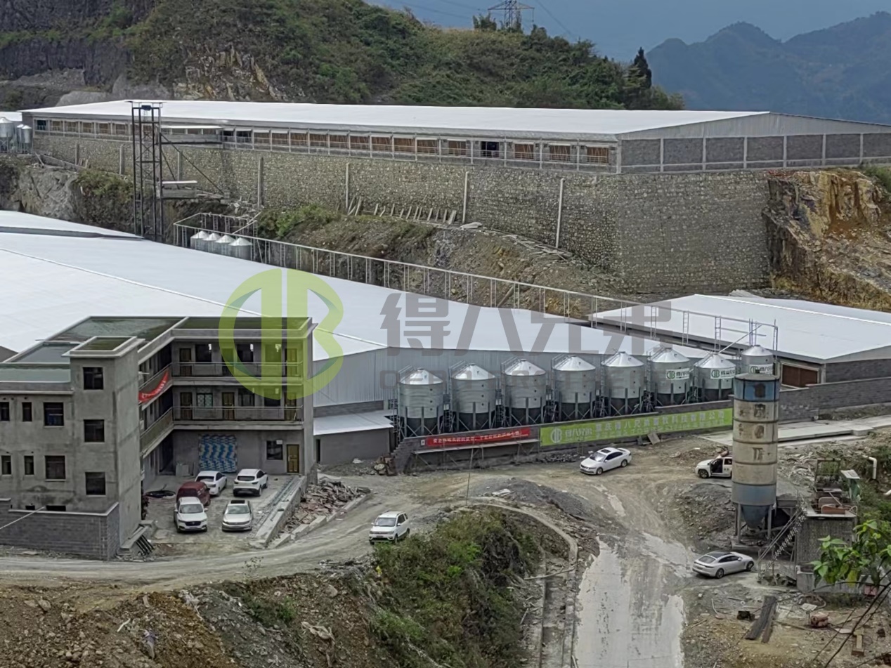 Donuz Təsərrüfatı Obyektinin Təmiri və Baxımı Bələdçisi