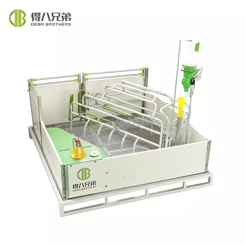 Donuz fermalarını vəbadan necə uzaq tutmaq olar