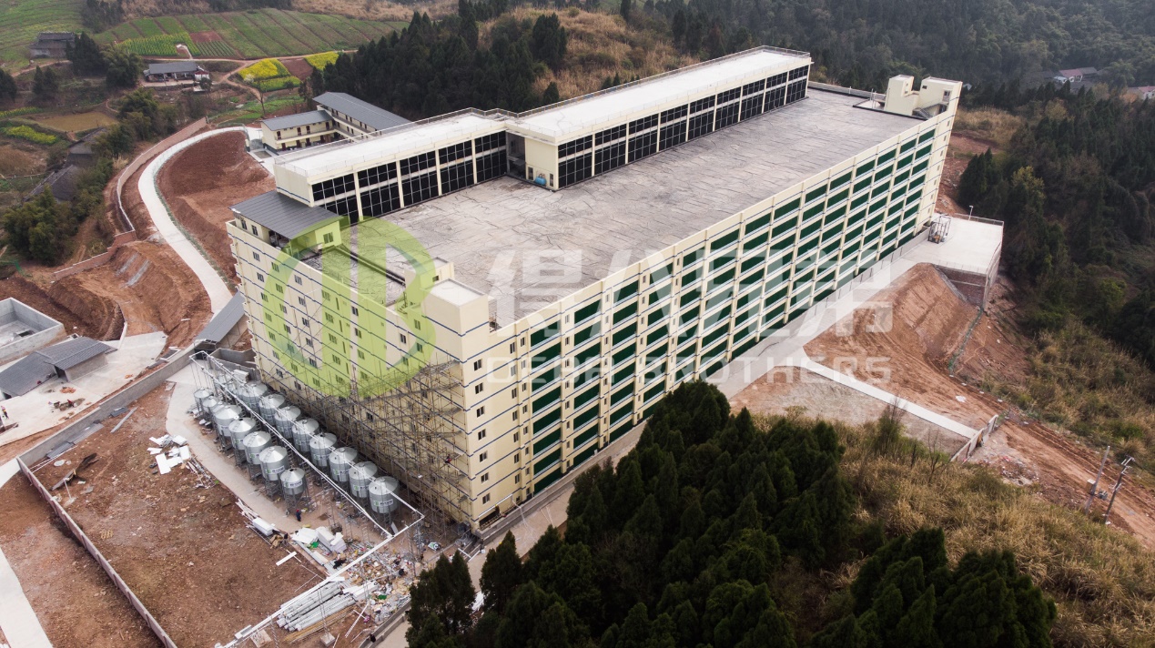 Müasir Donuz Təsərrüfatı Dizaynında Ətraf Mühitin Keyfiyyətini Necə Yaxşılaşdırmaq olar