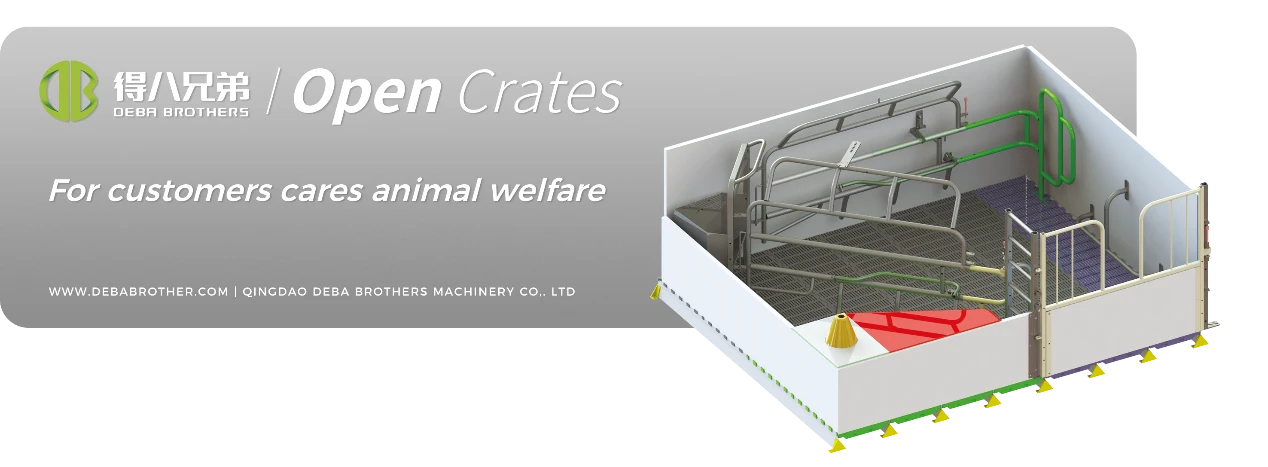 DEBA Brothers açıq əkin yatağı istifadəçi dostu dizaynı ilə bütün dünyada tanınıb