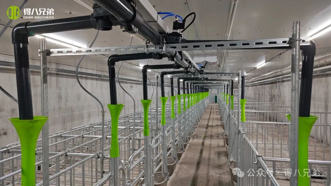 Deba Qardaşı Licha Qara Donuz Yetişdirilməsi və Yetişdirilməsi Nümayiş Bazası - 2000 Sows, 50.000 İllik Kəsim, 67.000 kvadrat metr İnteqrasiya edilmiş Əməliyyatlar