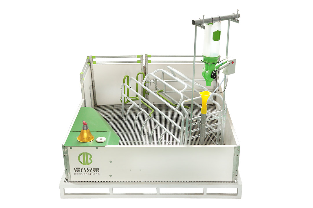 Boş toxumlar üçün WELSAFE Farrowing Pen - Heyvanların rifahına diqqət yetirin